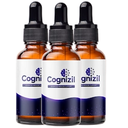 Cognizil